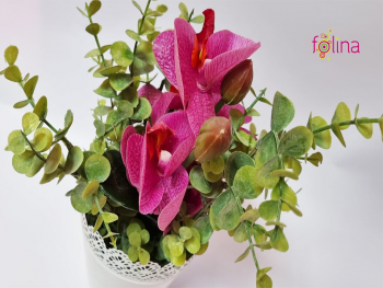 orhidee-roz-5887