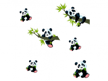 Set 6 stickere Urşi panda