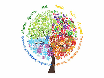 Sticker Copacul anotimpurilor şi lunile anului, Folina, multicolor, 100 cm înălţime