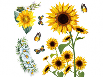 sticker-floarea-soarelui-folina-ksy107-1310