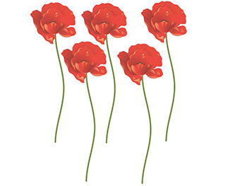 Set 5 Stickere Floare de Mac, Folina, roşu