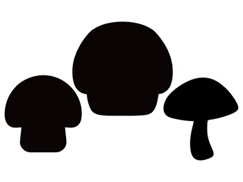 Sticker Ciuperci, Folina, tablă de scris, negru, set 3 bucăți