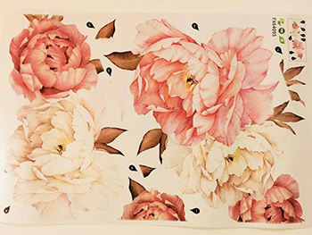 Stickere perete flori watercolor, Folina, bujori roz şi crem, 40x60 cm