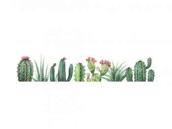 stickere-cactusi-folina-ksy11-bordura-decorativa-verde-4709