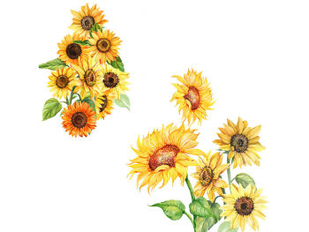 Stickere floarea soarelui, Folina KSY127, decor cu flori galbene