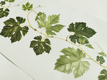 Set 2 stickere crenguţe cu frunze verzi