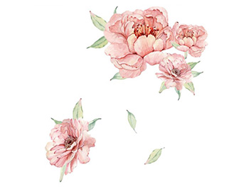 Stickere perete flori watercolor, Folina, bujori roz, 40x60 cm