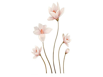 Stickere perete, Folina, magnolii crem, 130 cm