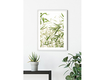 Tablou cu plante verzi Bamboo Leaves, Komar Art Poster, in rama alba, 40x50 cm tablou-bamboo-leaves-8994