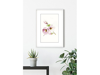 Tablou floral Magnolia Breathe, Komar Art Poster, în ramă albă, 40x30 cm