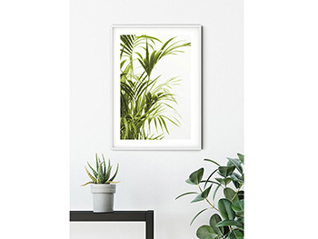Tablou cu plante verzi Reer Leaves, Komar Art Poster, in rama alba, 40x50 cm