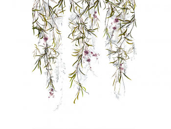 tapet-floral-marburg-63452-5049