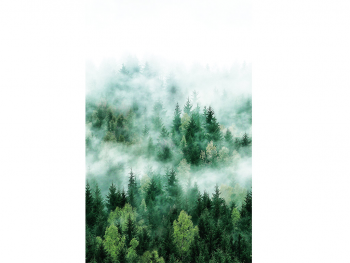 Fototapet peisaj pădure Nature, Marburg 47267, pe suport vlies, 159x270 cm