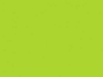 Tapet verde deschis DieMaus 0521740